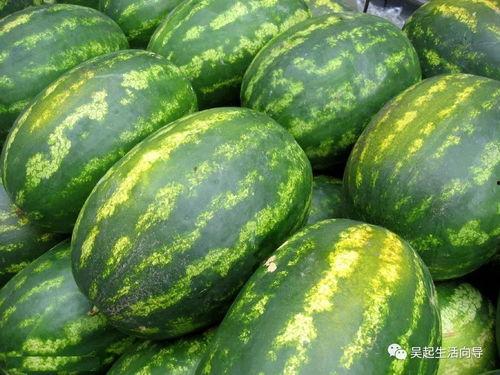 网红泡泡又困了吃瓜,揭秘娱乐圈幕后故事  第3张