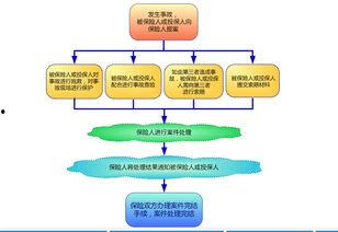 保险理赔爆料流程视频教程,轻松掌握理赔流程  第2张