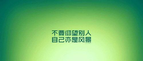 励志新闻爆料大全最新,励志新闻爆料大全最新力作  第2张